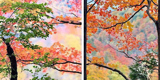 2025-11-08 赏枫一日深度游 | 上下车地点