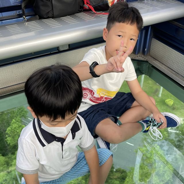 《昂坪360》聯同 《寶礦力水特 盛夏呈
