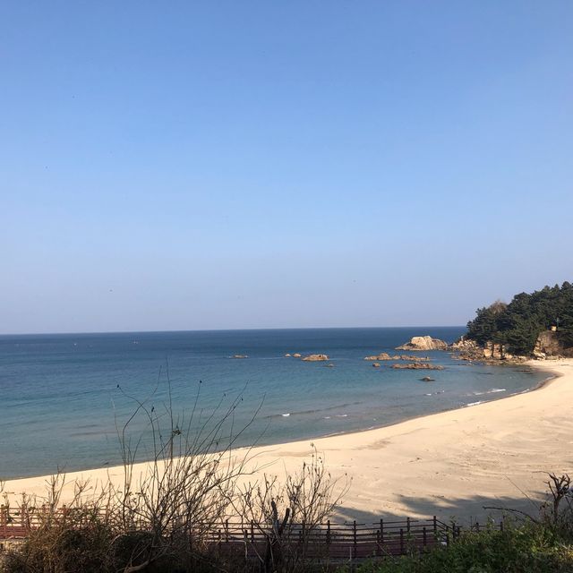 [양양] 하조대 