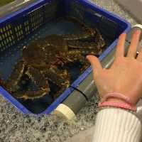 台北海鮮市場🦞餐廳｜上引水產