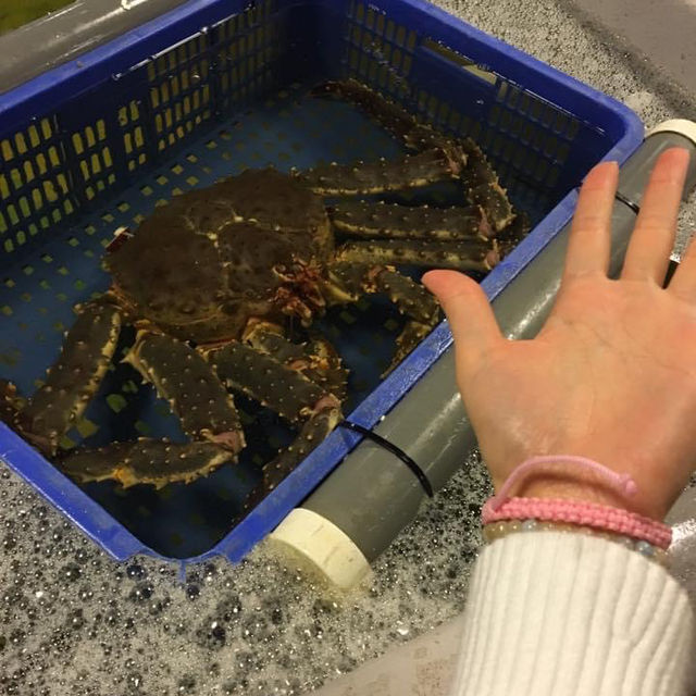 台北海鮮市場🦞餐廳｜上引水產