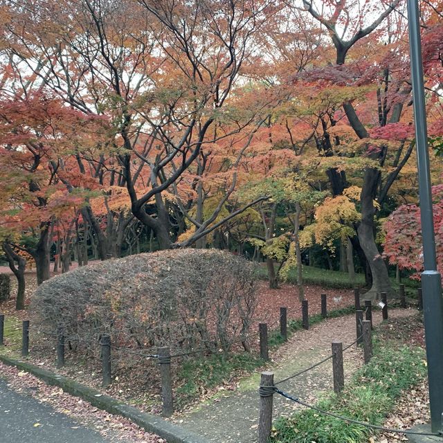 【千代田区】武道館すぐ横　北の丸公園