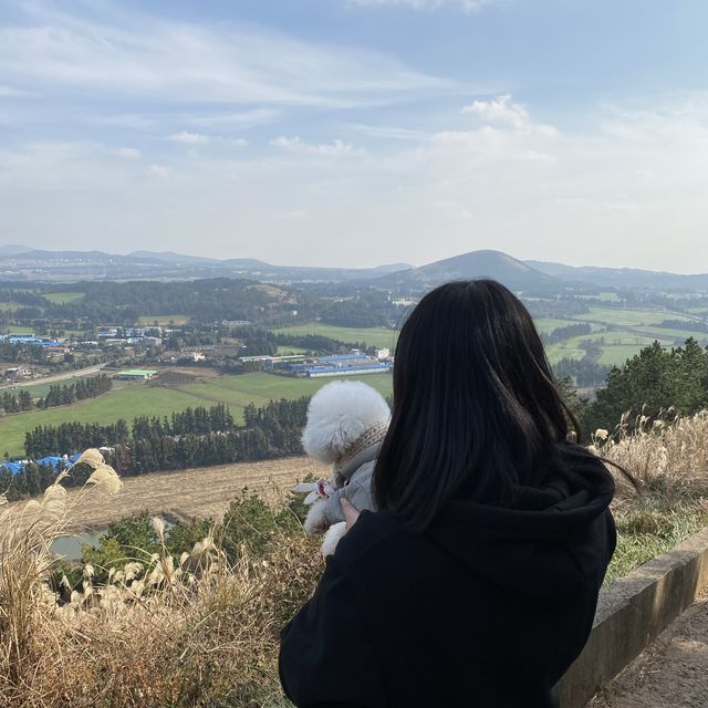 제주ㅣ반려동반 가능한 제주도 오름 추천, 금오름🏔