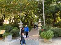 鳥語花香｜荔枝角公園