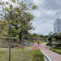 南昌公園🌱超大草坪區