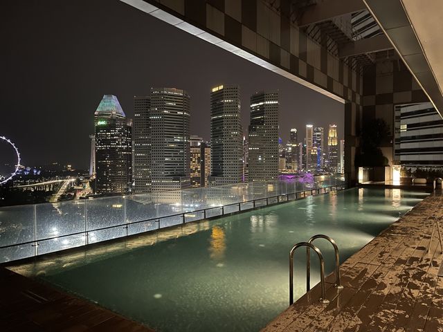 Low key Infinity pool with good view🎡