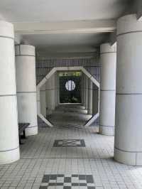 【市區散步好去處】香港公園｜欣賞小龜曬太陽。穿過大瀑布。登上鳥瞰角觀景台｜2小時散步路線