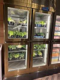 淥鼎記晚市任食打邊爐 