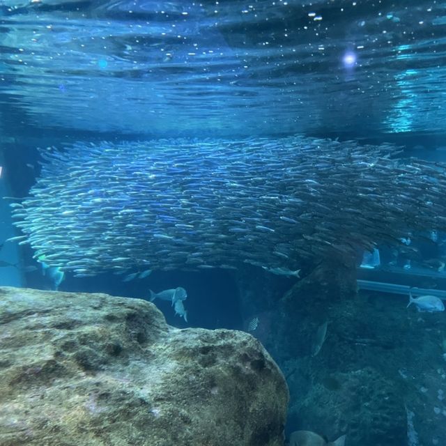 新江ノ島水族館