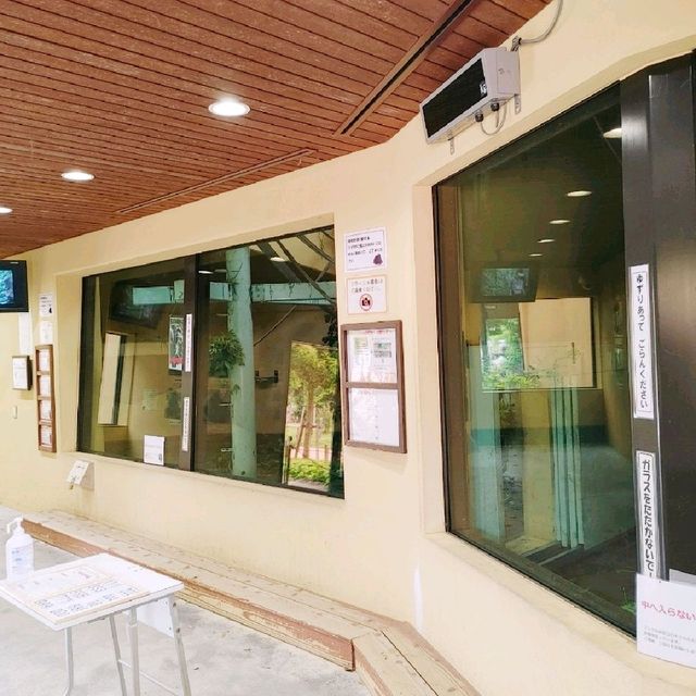 ゴリラのおうち　京都市動物園