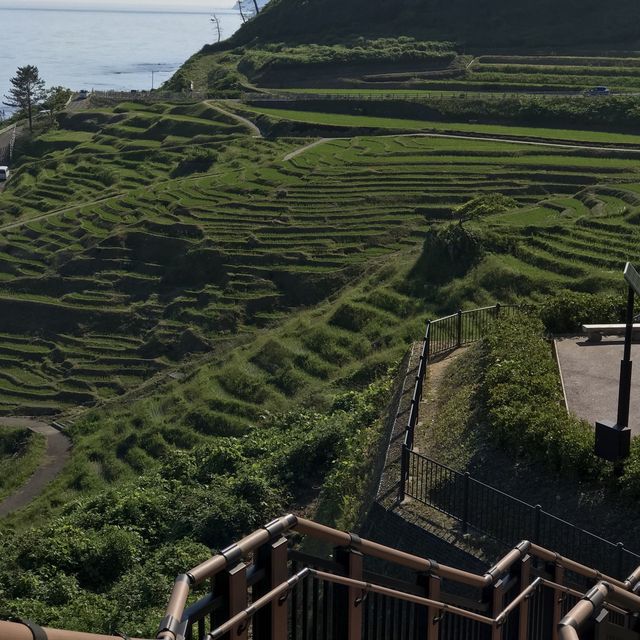 《日本-輪島市》堅持要去看的「梯田之美」