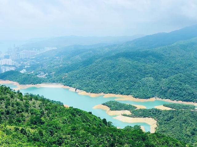 針山