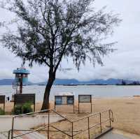 圍封多時，休養生息後的公園及海灘