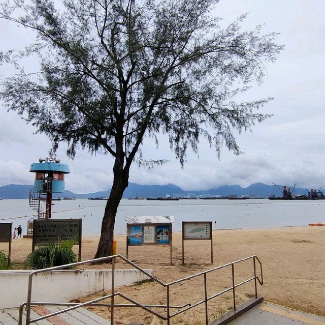 圍封多時，休養生息後的公園及海灘