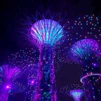 Free things to do in Singapore