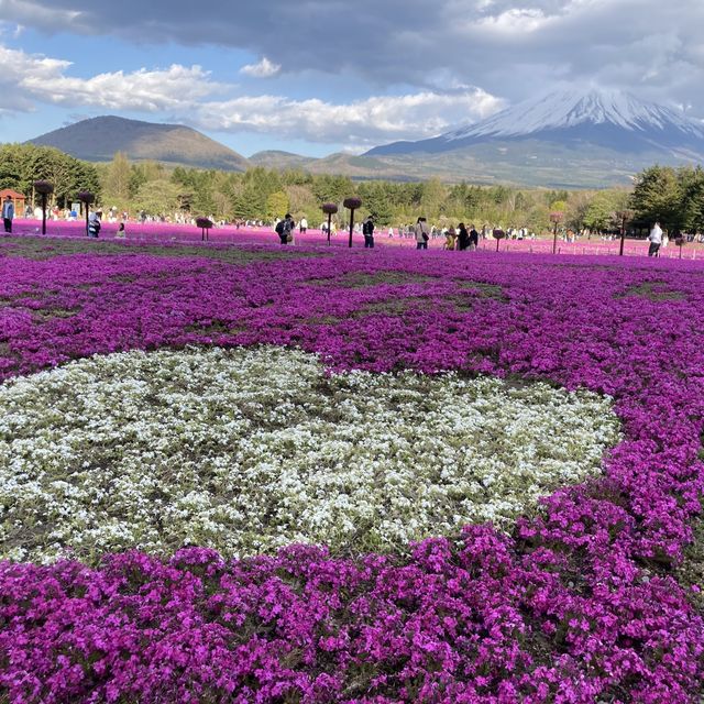 富士芝桜まつり