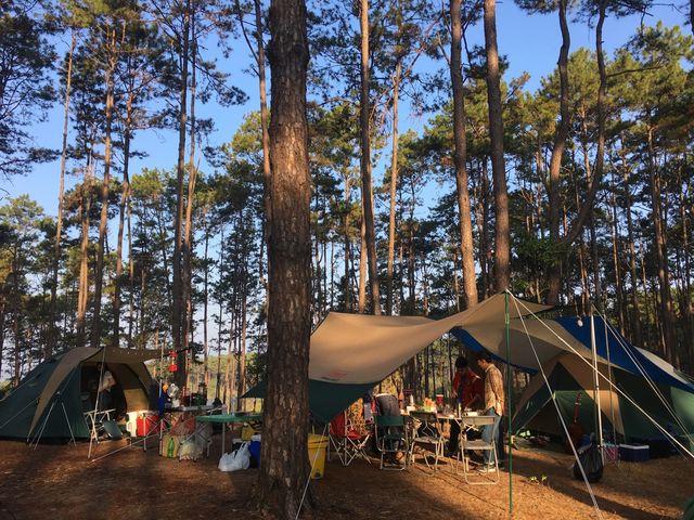 สวนป่าดอยบ่อหลวง🏕 อ.ฮอด จ.เชียงใหม่