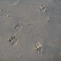 CHULA BEACH KHANOM - ที่พักแสนสงบที่ขนอม