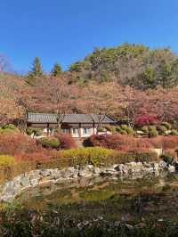 단풍명소 배론성지 🍁