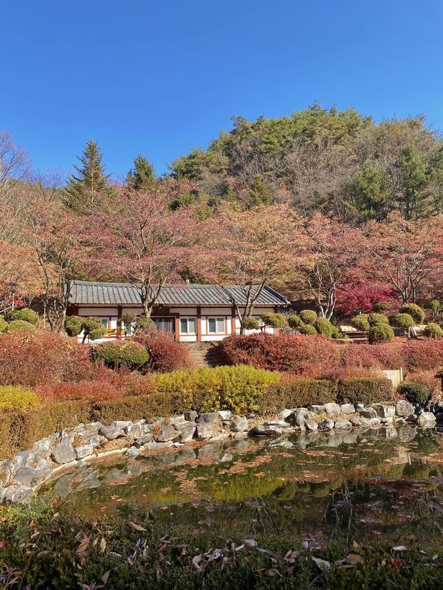 단풍명소 배론성지 🍁