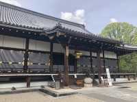 🌸京都 総本山！仁和寺をご紹介