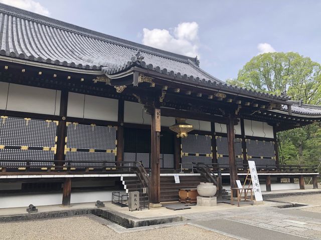 🌸京都 総本山！仁和寺をご紹介