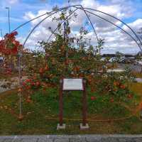 岩手県！花巻空港の紹介～秋～