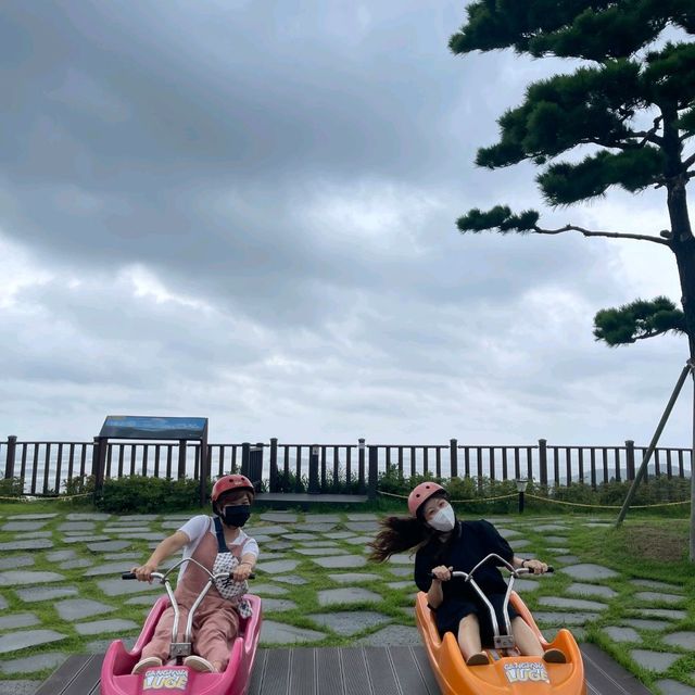 루지타고 액티비티 즐겨요~~