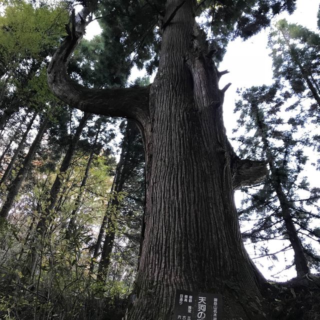 東京攻略 青梅市-御岳本町