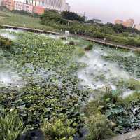 Ecological trail in Avenida da Praia, Taipa