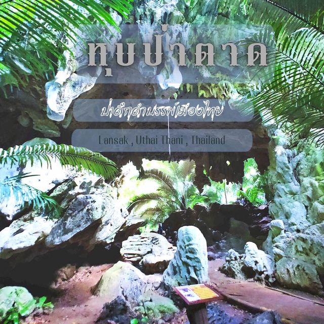 Unseen ❗️หุบป่าตาด ป่าดึกดำบรรพ์ 🦕เมืองอุทัย 🦇