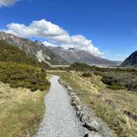 NZ Mt Cook Kea Point 