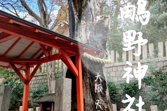 大阪 】大阪で女性の神様の神社巡り〜 | Trip.com 大阪