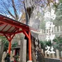 【大阪 】大阪で女性の神様の神社巡り〜