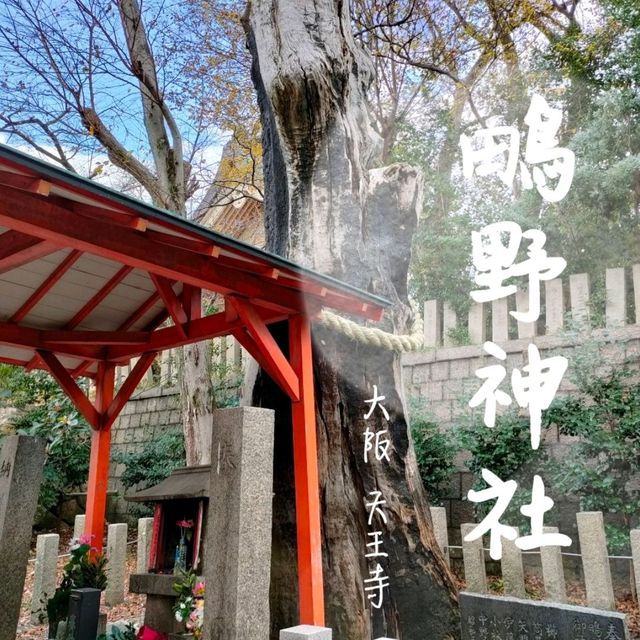 【大阪 】大阪で女性の神様の神社巡り〜