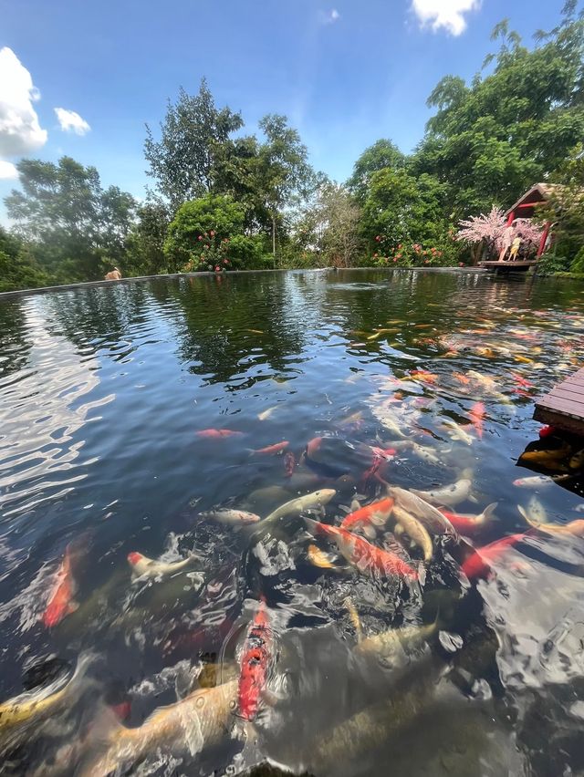 ที่เที่ยวราชบุรี 🐝
