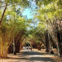 Lovely Rockhampton Botanic Garden