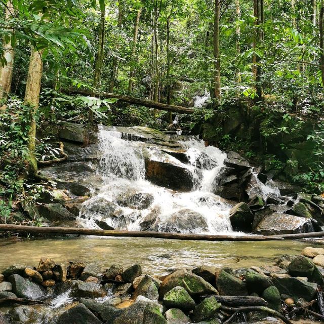 Sofea Jane Waterfalls 