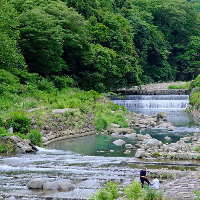 あじさい橋