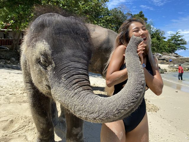 🐘ช้างๆน้อยเคยเห็นทางในทะเลหรือเปล่า 😳