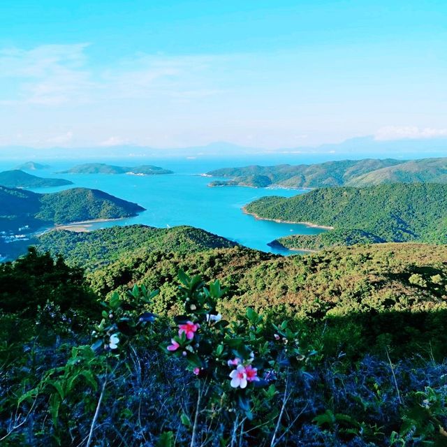 嶂上郊遊徑