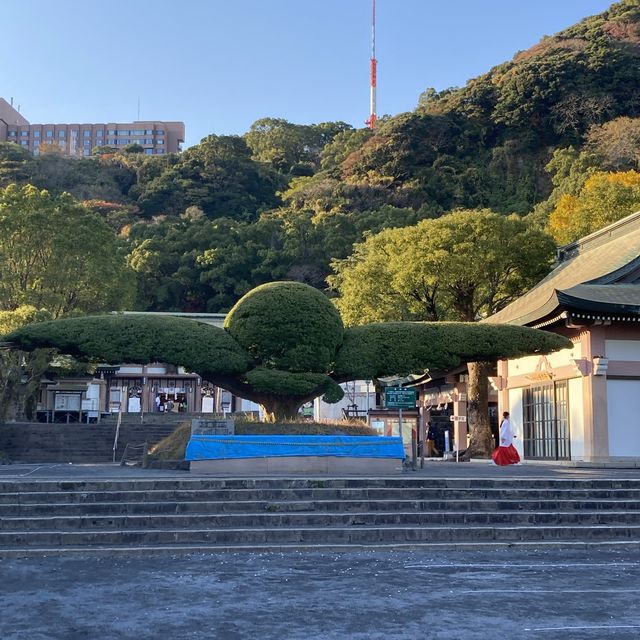 [鹿児島市]照国神社と西郷さん