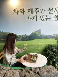 제주 녹차의 성지