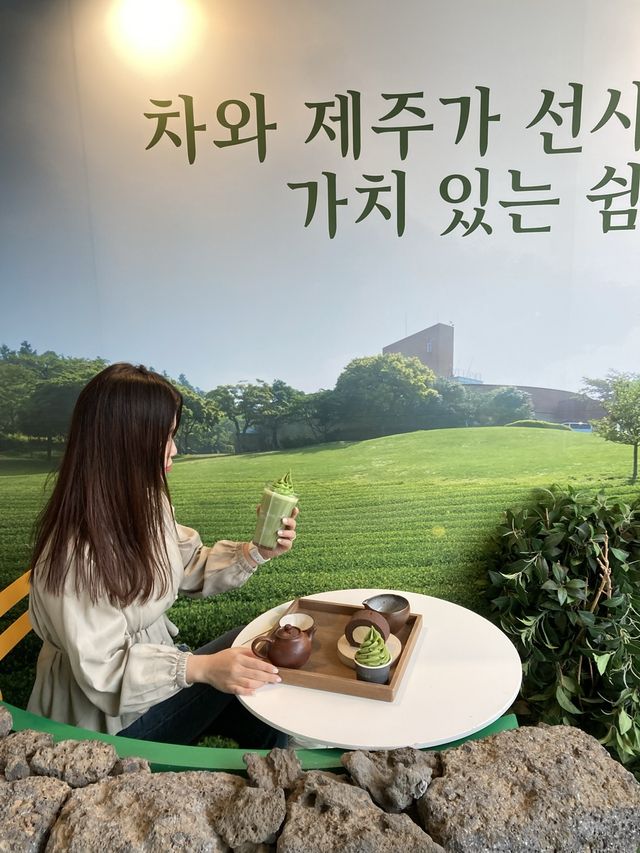 제주 녹차의 성지
