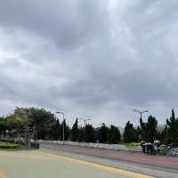 新界單車遊路線推介