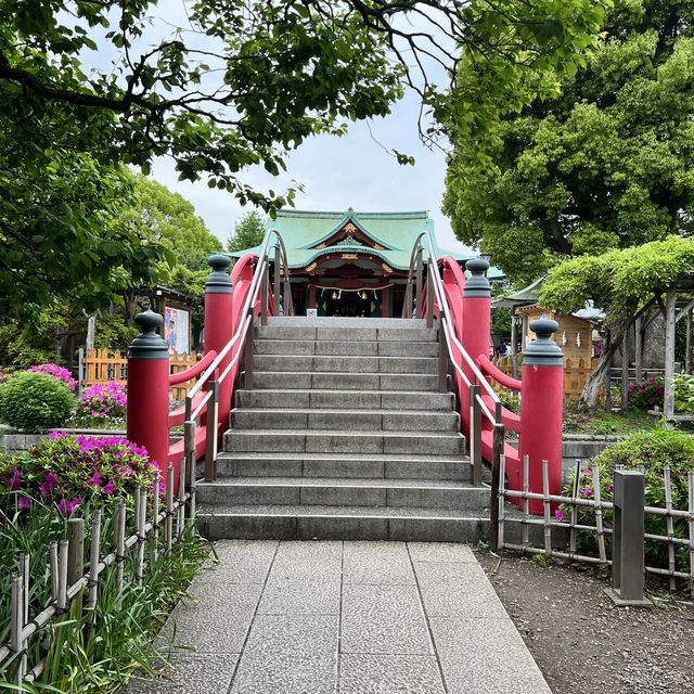 【東京】東京で藤の花といえばの名所