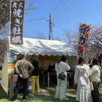 北海道　松前公園のさくらまつり