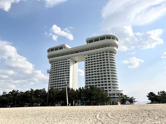 🇰🇷벚꽃길 명소 “경포호수로”