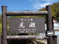 日本最大的高原濕地｜尾瀨