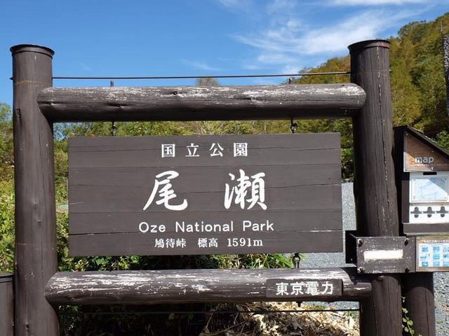 日本最大的高原濕地｜尾瀨